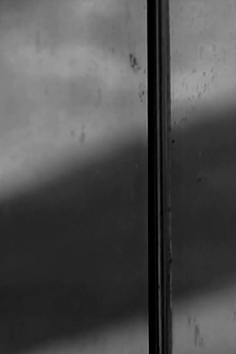 Curriculum Mortis, Lionel Monier, 2011, Canal+, Film, Documentaire