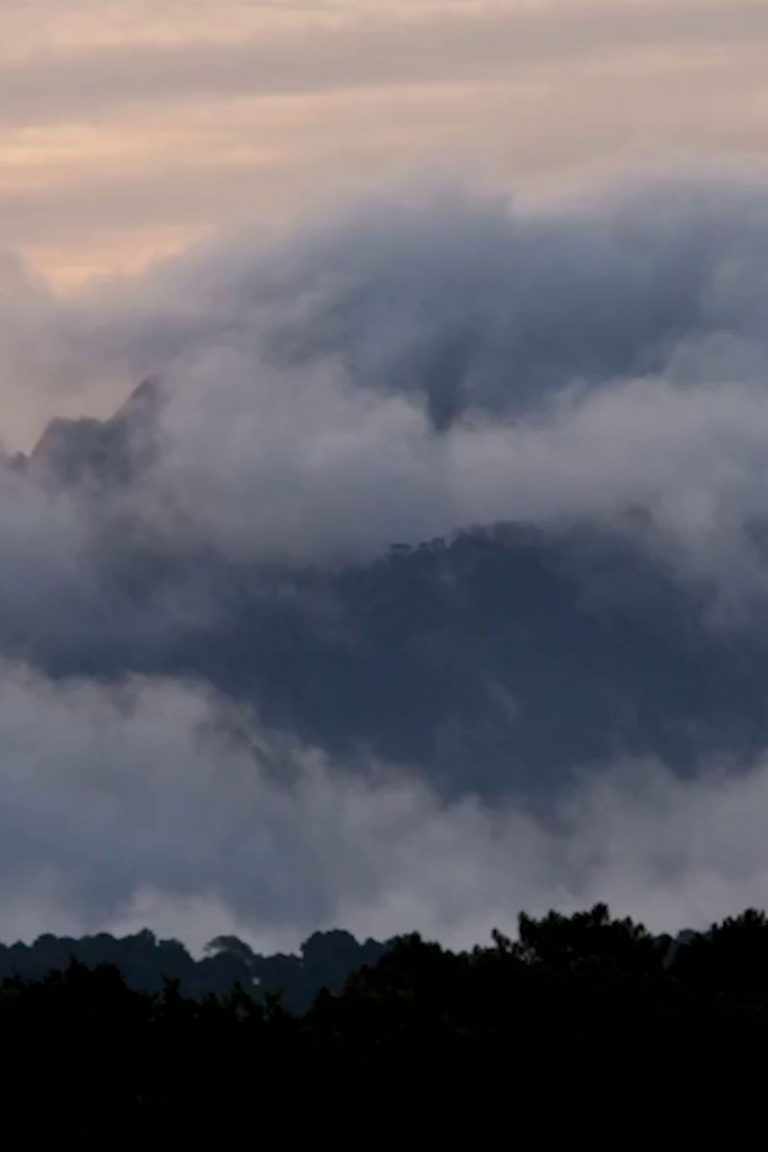 L'abîme, Charlotte Erlih, 2015, Court-métrage, Fiction