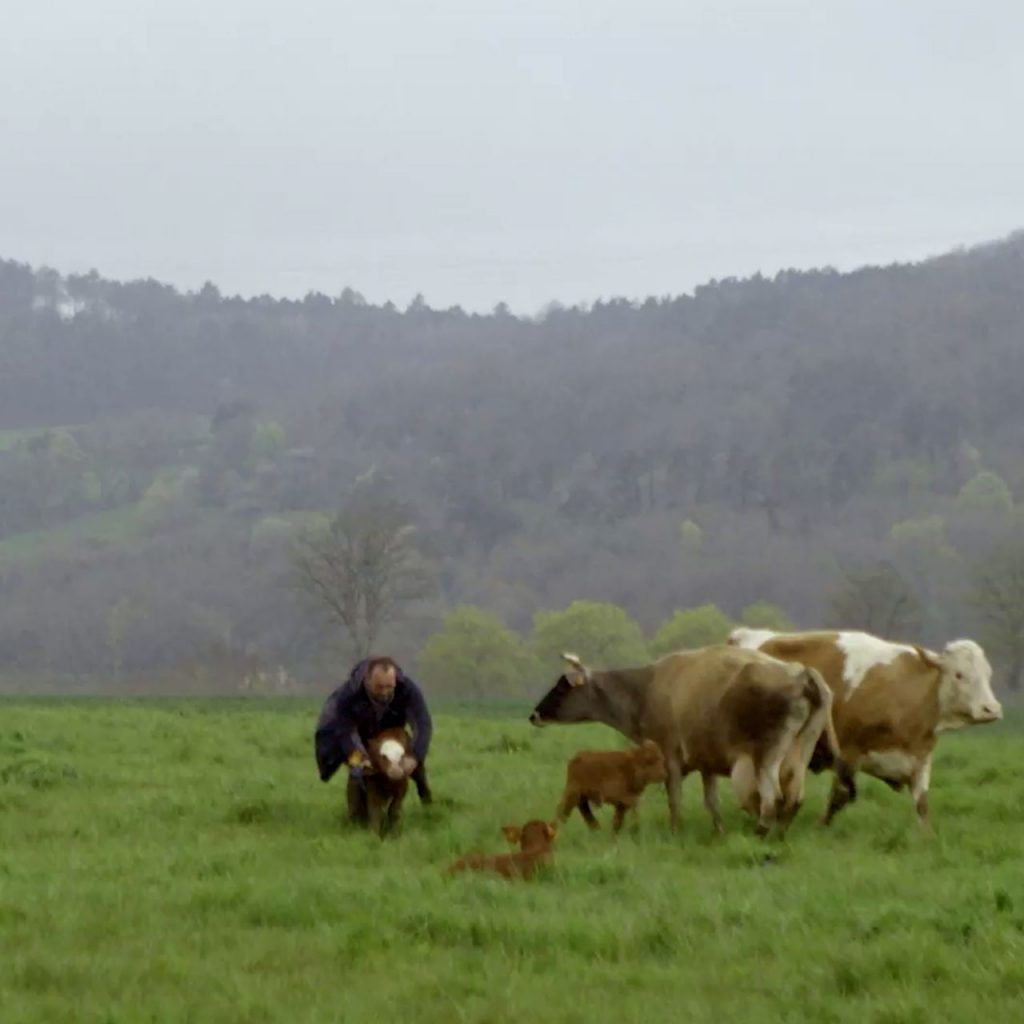 La voix des champs, Juliette Steimer, France TV, France 3 Pays de la Loire, 2023