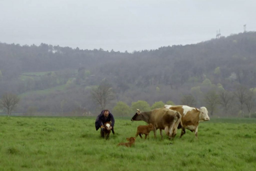 La voix des champs, Juliette Steimer, France TV, France 3 Pays de la Loire, 2023
