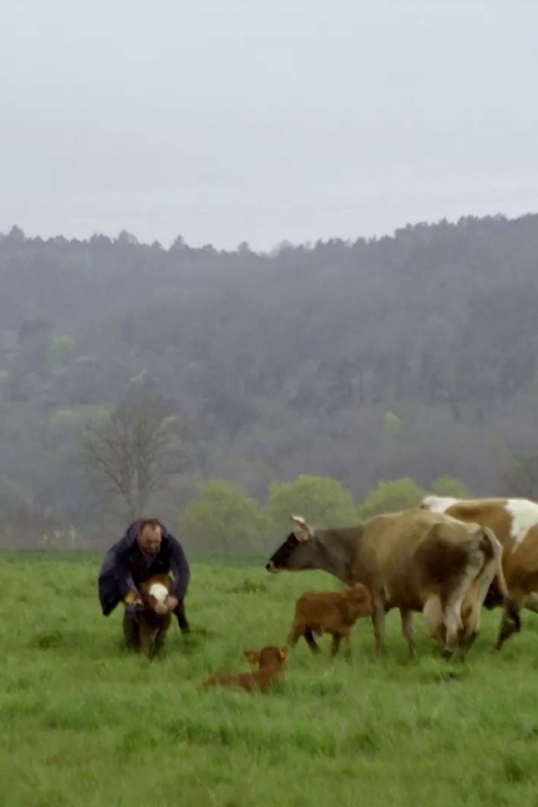 La voix des champs, Juliette Steimer, France TV, France 3 Pays de la Loire, 2023