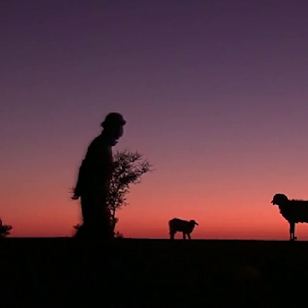 Ô Racines !, Cécile Couraud, Documentary, Wendigo Films