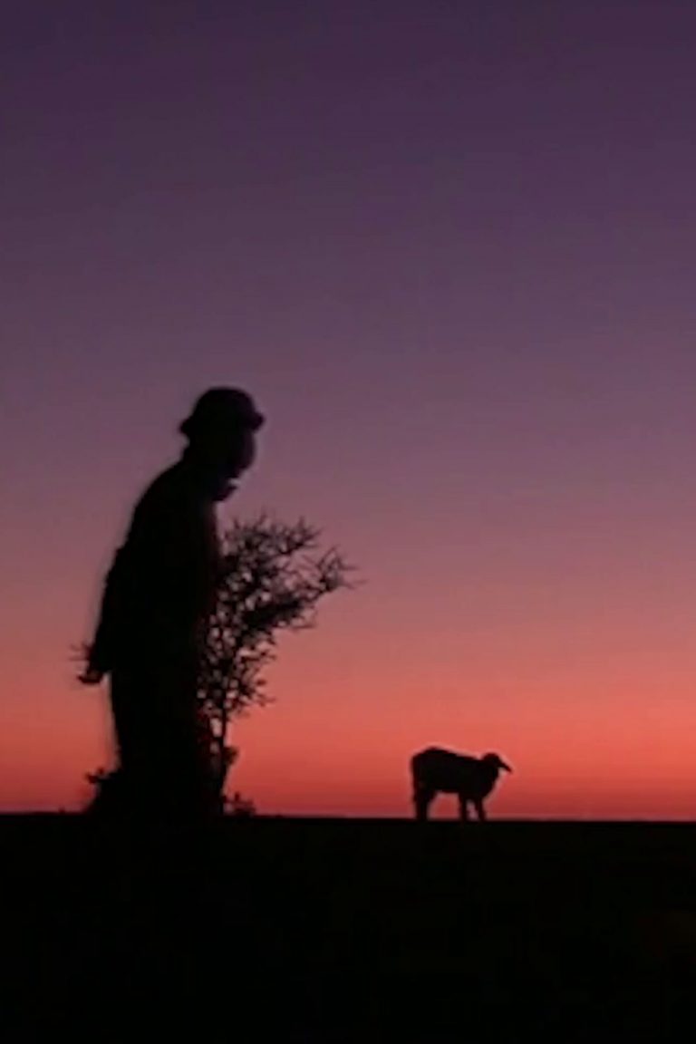 Ô Racines !, Cécile Couraud, Documentary, Wendigo Films