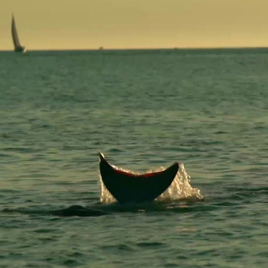 Miss Mermaid, Pauline Brunner, Marion Verlé, 2020, Fécamp, Bretagne, Sirène, Documentaire, Film